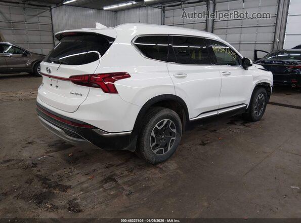 KM8S2DA13MU010484 2021 HYUNDAI SANTA FE HYBRID White Задня права чверть