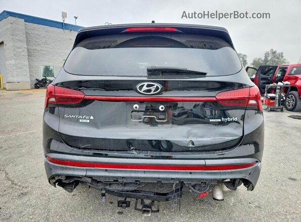KM8S2DA1XMU006304 2021 HYUNDAI SANTA Black Հետևի տեսք