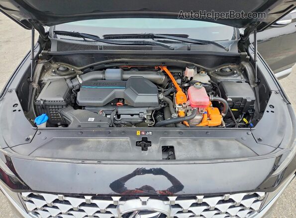 KM8S2DA1XMU006304 2021 HYUNDAI SANTA Black Սալոնի հետևի տեսք