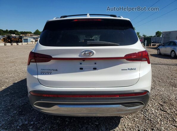 KM8S3DA16MU013375 2021 HYUNDAI SANTA White 