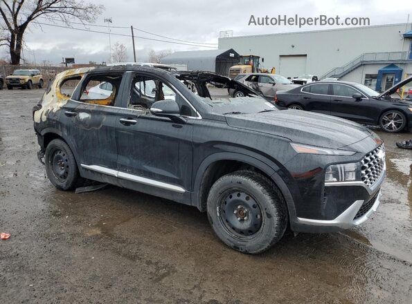 KM8S5DA19PU081880 2023 HYUNDAI SANTA Черный Передняя правая четверть