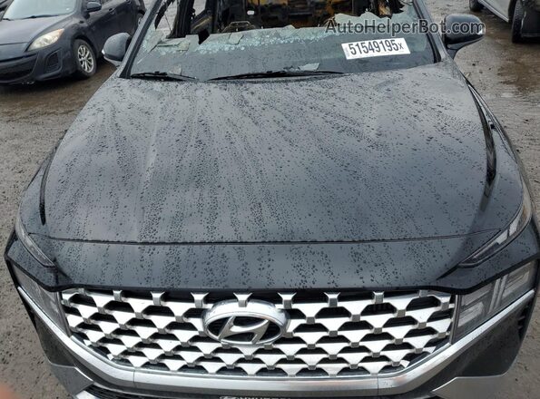 KM8S5DA19PU081880 2023 HYUNDAI SANTA Черный Вид задней части салона