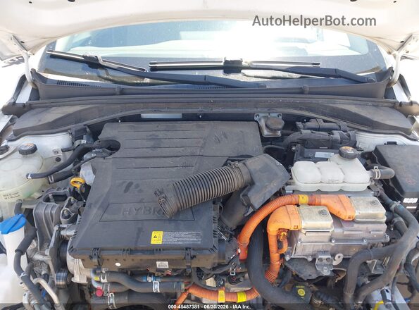 KMHC65LC6LU231105 2020 HYUNDAI IONIQ HYBRID White უკანა ხედი