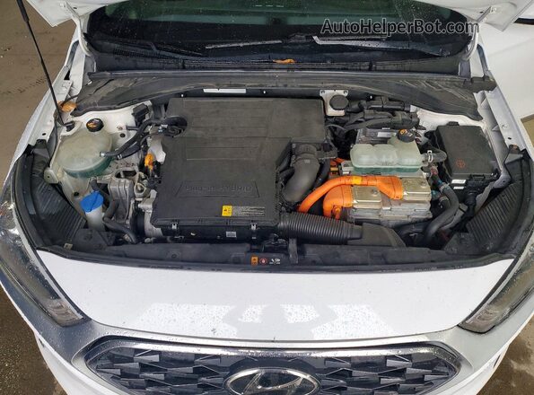 KMHC65LD1LU203740 2020 HYUNDAI IONIQ White Widok wnętrza z tyłu