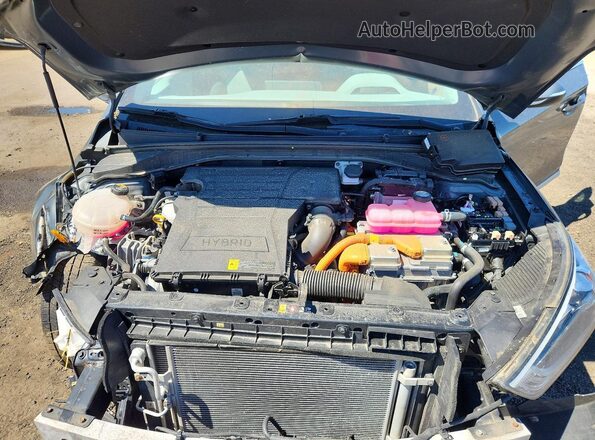 KMHC75LC5LU233117 2020 HYUNDAI IONIQ Gray Սալոնի հետևի տեսք