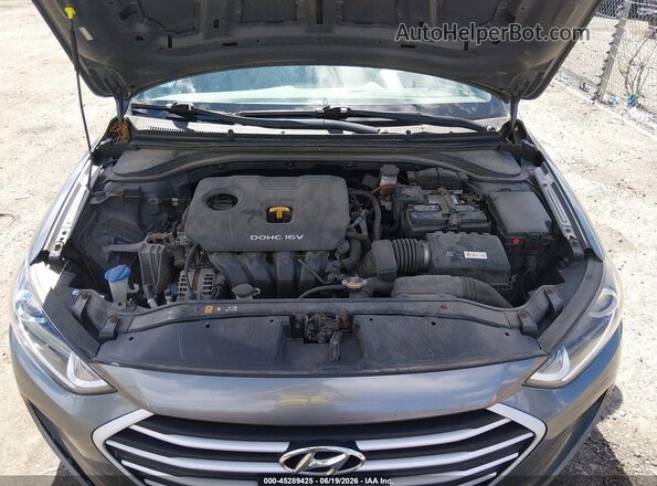 KMHD74LF8HU071399 2017 HYUNDAI ELANTRA Серый Вид сзади