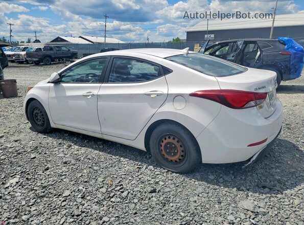 KMHDH4AH2GU482555 2016 HYUNDAI ELANTRA Белый Задняя левая четверть