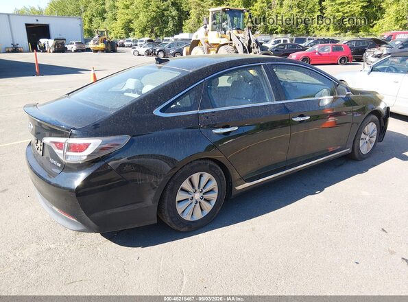 KMHE24L16GA041518 2016 HYUNDAI SONATA HYBRID Black უკანა მარჯვენა