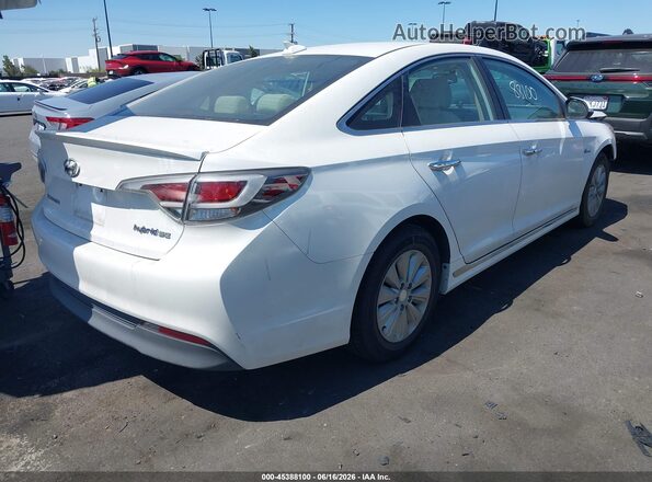 KMHE24L17GA037767 2016 HYUNDAI SONATA HYBRID White Rear right