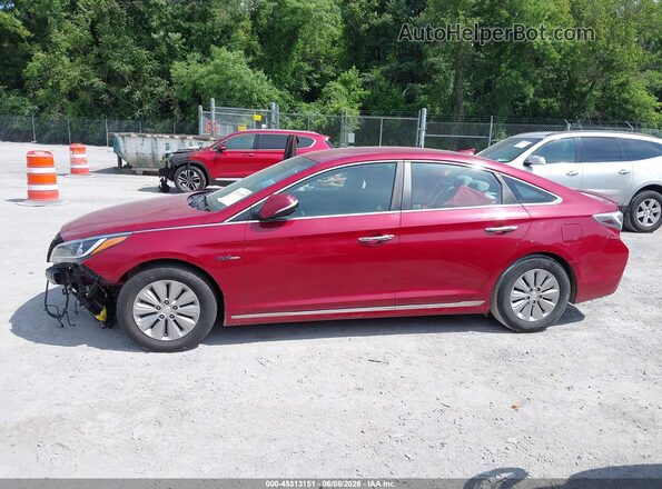 KMHE24L19GA016113 2016 HYUNDAI SONATA HYBRID Red 