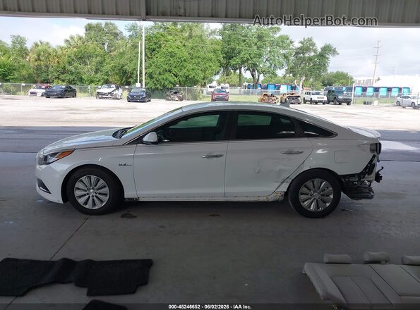KMHE24L19HA054071 2017 HYUNDAI SONATA HYBRID White 