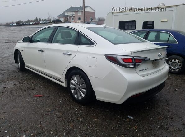 KMHE24L1XGA008134 2016 HYUNDAI SONATA Белый Задняя левая четверть
