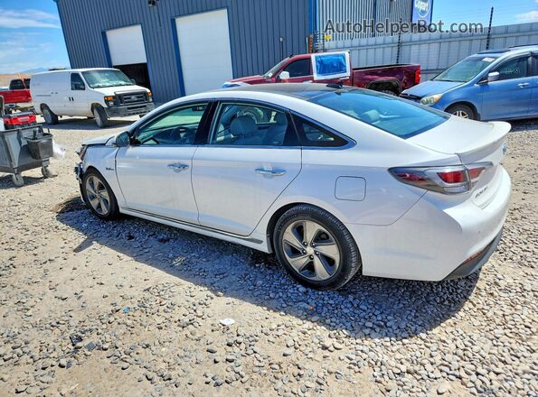 KMHE34L14GA033379 2016 HYUNDAI SONATA White უკანა მარცხენა