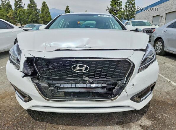 KMHE34L36HA071537 2017 HYUNDAI SONATA White 