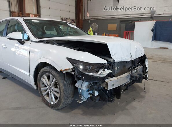 KMHL24JA2PA343155 2023 HYUNDAI SONATA White 
