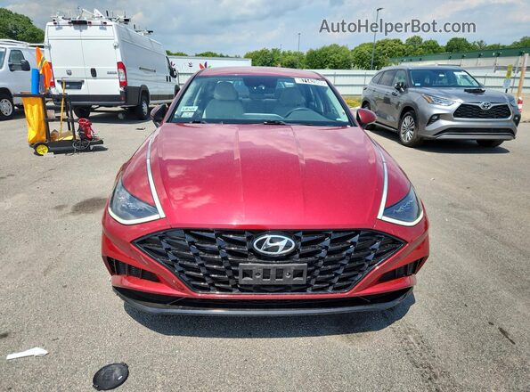 KMHL64JA5PA318349 2023 HYUNDAI SONATA Red 