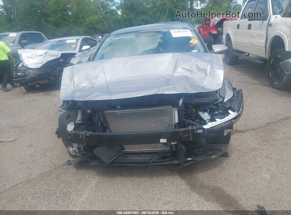 KMHLL4DG3SU011083 2025 HYUNDAI ELANTRA Gray Rear interior view