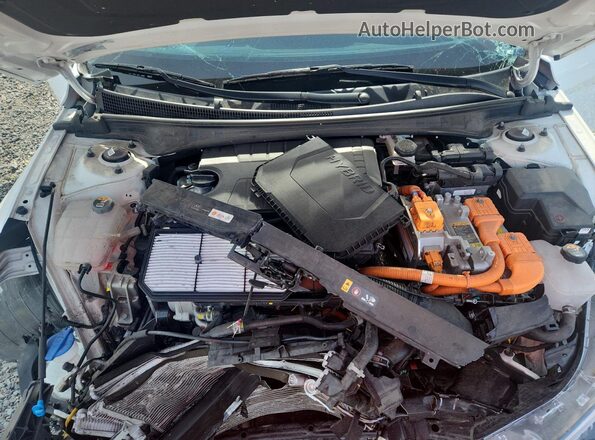 KMHLM4AJ3PU040362 2023 HYUNDAI ELANTRA Белый Вид задней части салона
