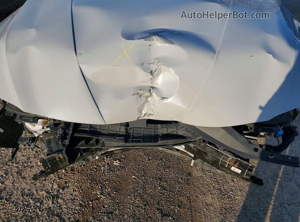 KMHLM4DG1RU701860 2024 HYUNDAI ELANTRA Серый 