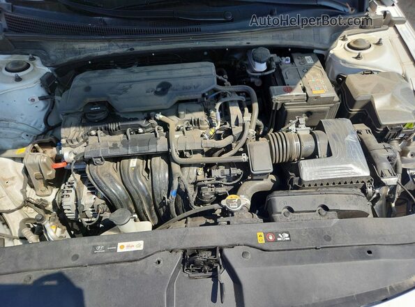KMHLP4DG1RU641327 2024 HYUNDAI ELANTRA White 
