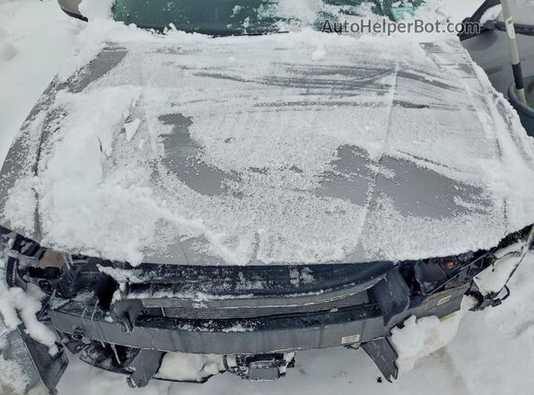 KMHLS4AG5PU508697 2023 HYUNDAI ELANTRA Серый 