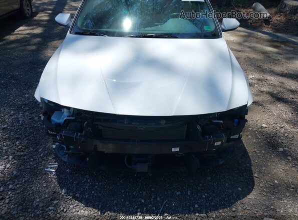 KMHLS4DG4RU762027 2024 HYUNDAI ELANTRA White 