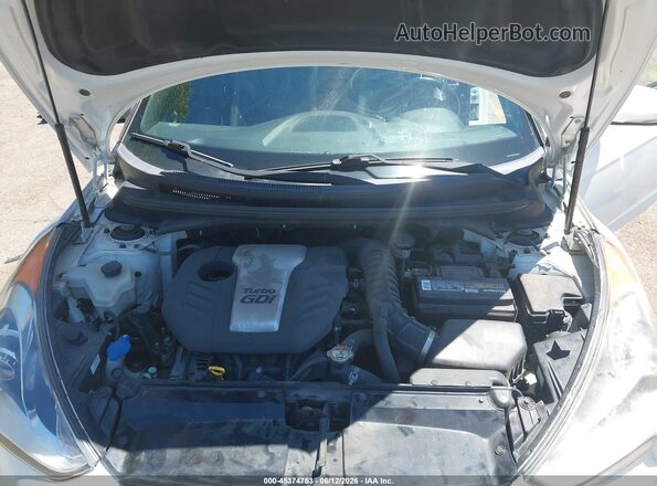 KMHTC6AE9GU286737 2016 HYUNDAI VELOSTER Белый Вид сзади