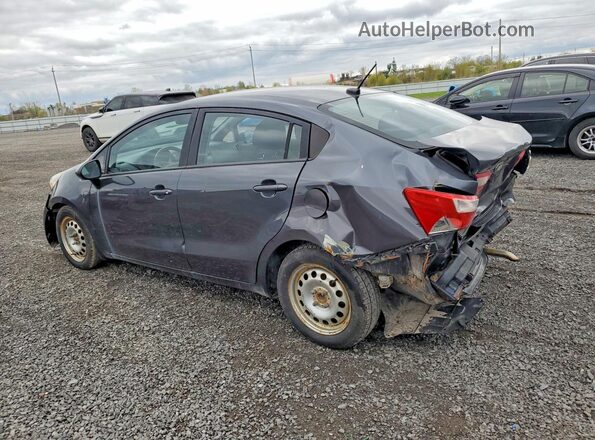 KNADM4A32G6548463 2016 KIA RIO Gray უკანა მარცხენა