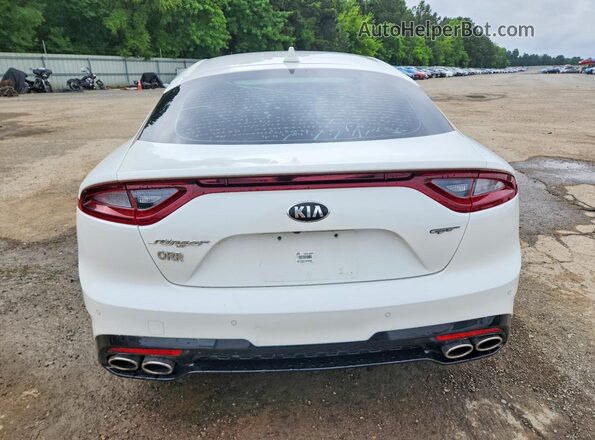 KNAE35LC6K6045327 2019 KIA STINGER Белый Вид сзади
