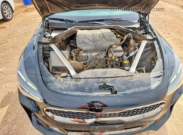 KNAE35LD6P6128403 2023 KIA STINGER Черный Вид задней части салона