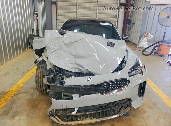 KNAE55LC5L6074037 2020 KIA STINGER Gray Դիմացի տեսք