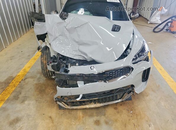 KNAE55LC5L6074037 2020 KIA STINGER Gray Սալոնի հետևի տեսք