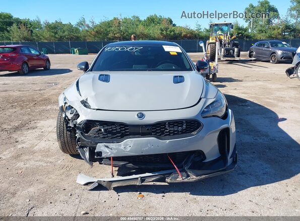 KNAE55LC9J6030488 2018 KIA STINGER Gray Rear interior view