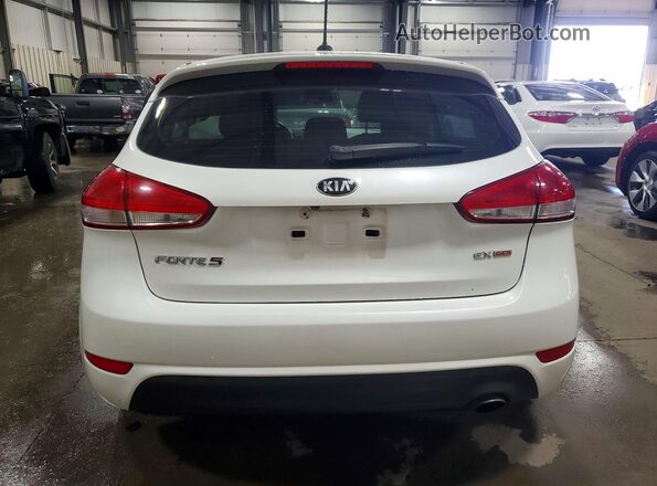 KNAFX5A88G5529018 2016 KIA FORTE White Вид ззаду