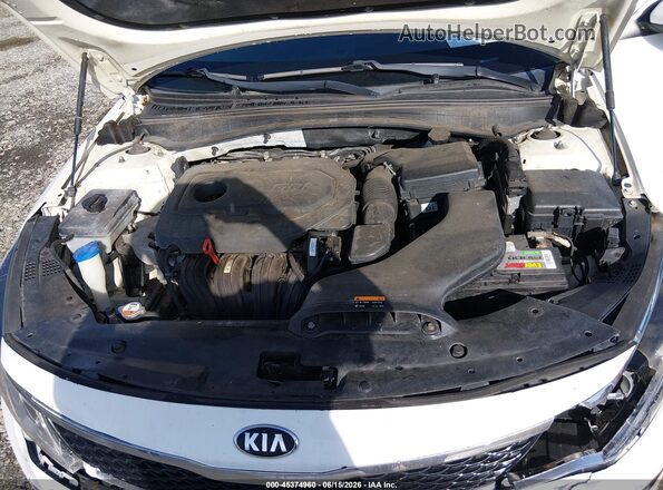 KNAGT4L39G5073199 2016 KIA OPTIMA Белый Вид сзади