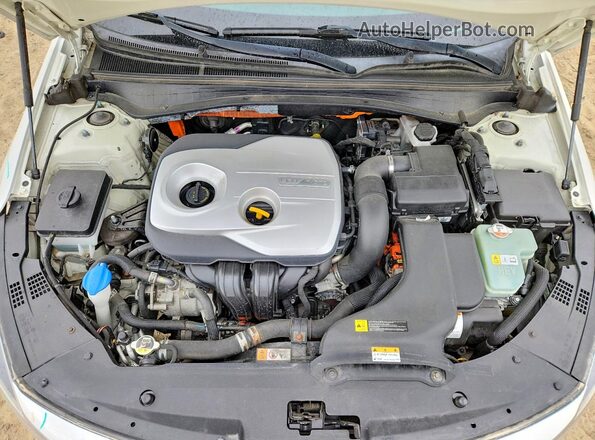 KNAGU4LE3K5032526 2019 KIA OPTIMA White Rear interior view
