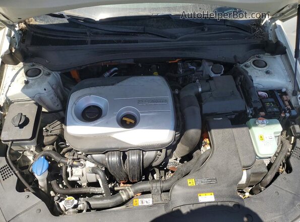 KNAGU4LE5L5045425 2020 KIA OPTIMA White 