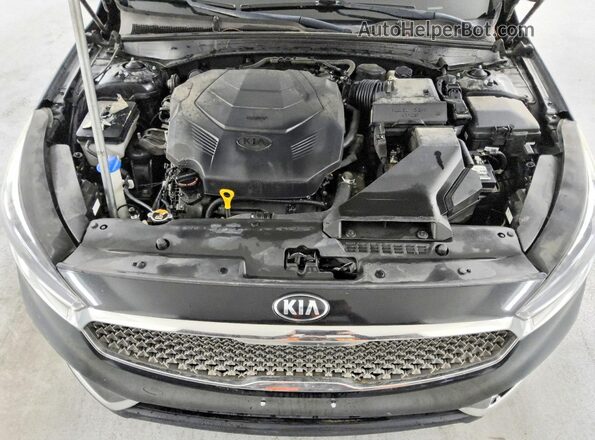 KNALB4J10H5058255 2017 KIA CADENZA Black Rear interior view