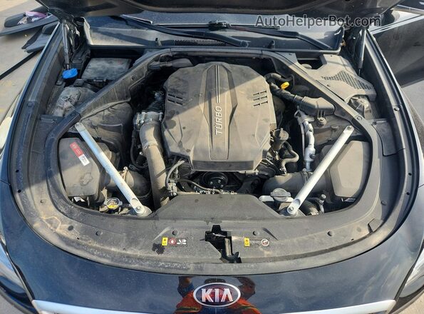 KNAS34J69K6014471 2019 KIA K900 Black Вид задньої частини салону