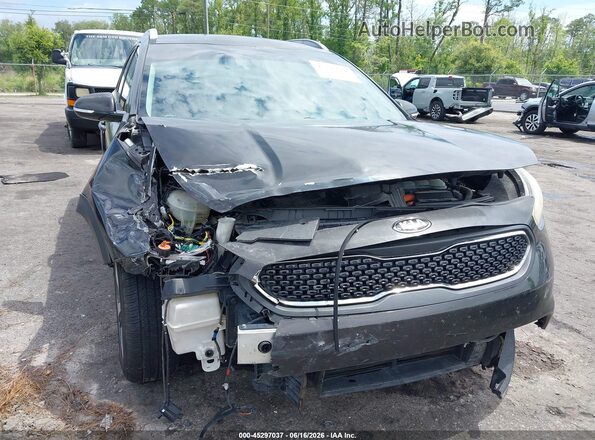 KNDCC3LC1H5069791 2017 KIA NIRO Dark Brown Widok z przodu