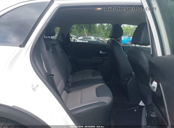 KNDCC3LG7K5021058 2019 KIA NIRO EV White VIN կոդի պիտակի տեսք