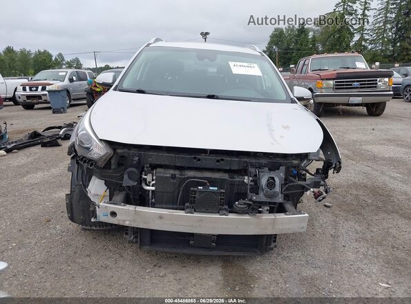 KNDCE3LG4L5047371 2020 KIA NIRO EV Серебряный Вид задней части салона