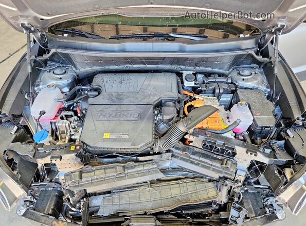 KNDCP3LE3T5319501 2026 KIA NIRO Серый Вид задней части салона