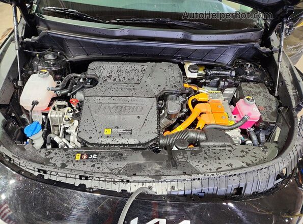 KNDCP3LE5T5319693 2026 KIA NIRO Черный Вид задней части салона