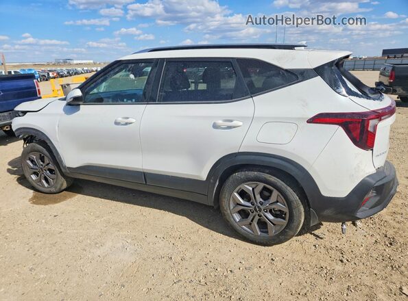 KNDEPCAA3R7612322 2024 KIA SELTOS White Tył lewy