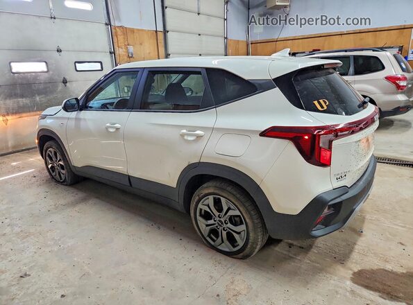 KNDEPCAA5R7528924 2024 KIA SELTOS White უკანა მარცხენა