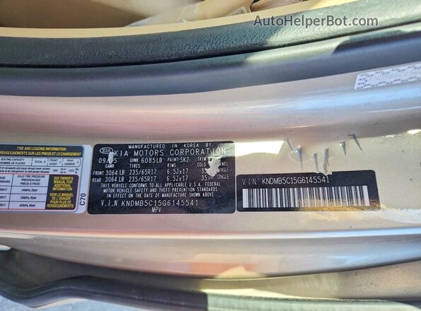 KNDMB5C15G6145541 2016 KIA SEDONA Gold 