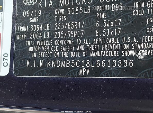 KNDMB5C18L6613336 2020 KIA SEDONA Blue Vista del compartimento del motor