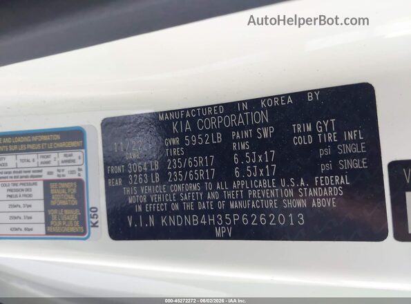 KNDNB4H35P6262013 2023 KIA CARNIVAL MPV White 