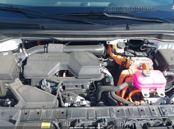 KNDNB5KA1T6130339 2026 KIA CARNIVAL MPV HYBRID Белый 